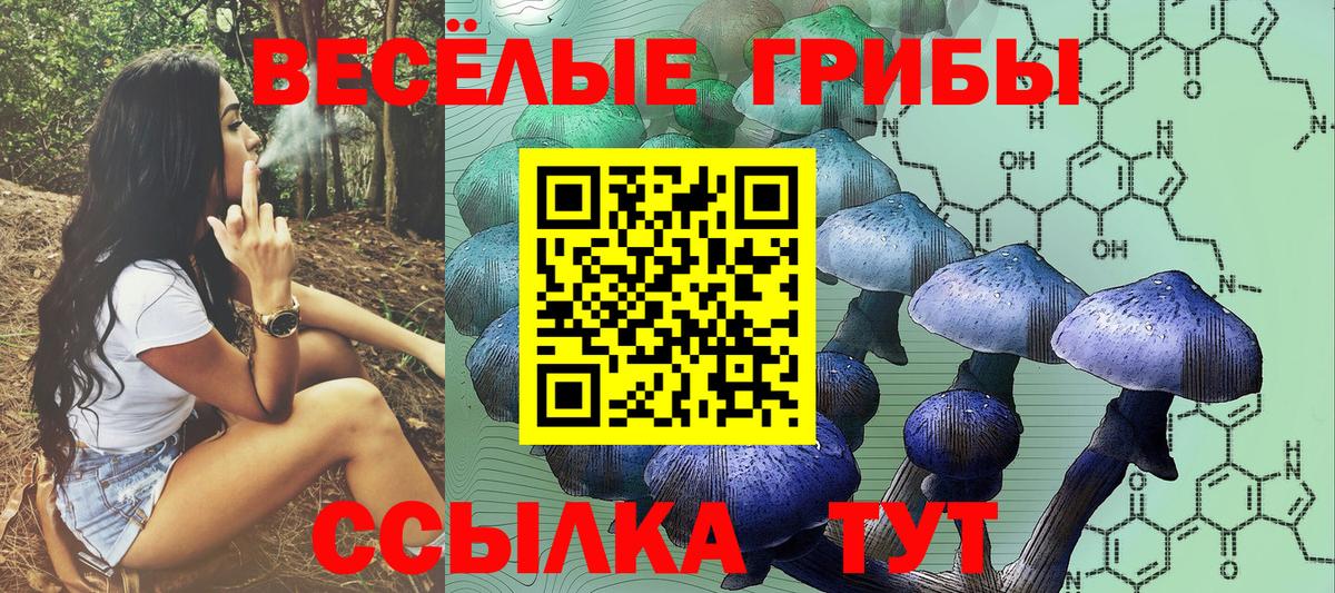 Галлюциногенные грибы Psilocybine cubensis  Вход с VPN  Долгопрудный 