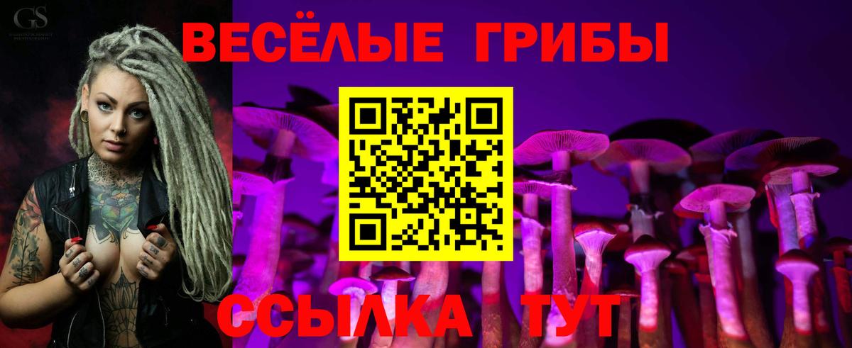 Галлюциногенные грибы MAGIC MUSHROOMS Долгопрудный